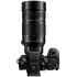 Lumix DC-G9 II + 100-400mm II Leica