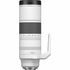RF 200-800mm F6.3-9 IS USM + Multiplicateur RF 1.4x