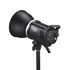 MS300V-F Kit de 2 Flash de Studio