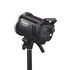 MS300V-F Kit de 2 Flash de Studio