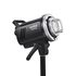 MS200V-F Kit de 2 Flash de Studio