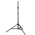 MS200V-F Kit de 2 Flash de Studio