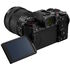 Lumix S5D + 28-200mm + 50mm F1.8