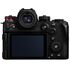 Lumix S1R II + 24-70mm F2.8 II