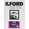 photo Ilford Papier Multigrade RC de luxe - Surface Brillante - 17.8 x 24.0 cm - 100 feuilles (MGD.1M) 