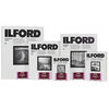 Papier photo labo N&B Ilford Papier Multigrade RC Portfolio - Surface perlée - 30.5 x 40.6 cm - 10 feuilles (MGRCPF44K)