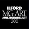 photo Ilford Papier Multigrade Art 300 - Surface mate  - 122 cm x 20 m - EI 1 rouleau (MG ART 300)