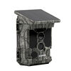 Caméra de surveillance et piège photo Caruba Racoon Solar 4K