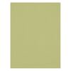 Image du Toile de fond infroissable X-Drop - Light Moss Green (5' x 7')