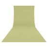 Fonds de studio photo Westcott Fond stretch Light Moss Green - 2.70 x 6 m
